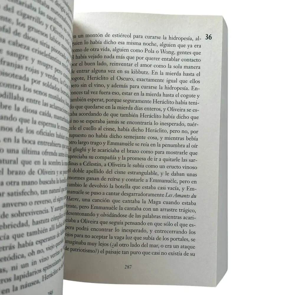 Rayuela by Julio Cortázar Spanish Edition Paperback Novel